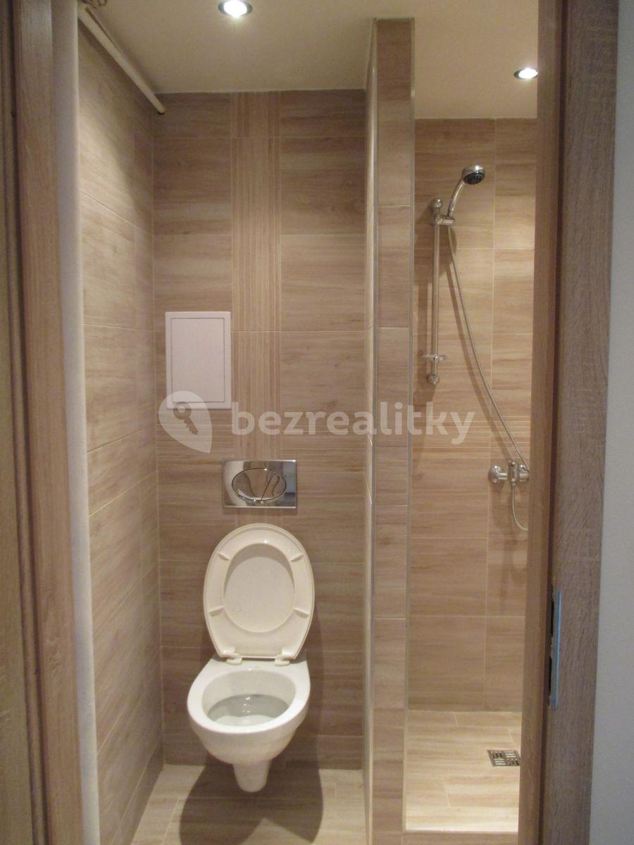 Pronájem bytu 1+1 28 m², Mládeže, Beroun, Středočeský kraj