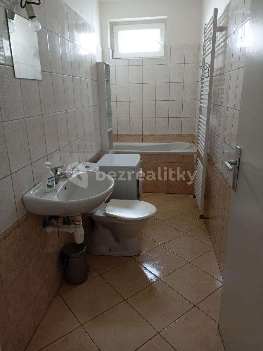 Pronájem bytu 1+1 46 m², Palmetová, Praha, Praha