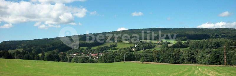 Pronájem chaty, chalupy, Dolní Město, Kraj Vysočina