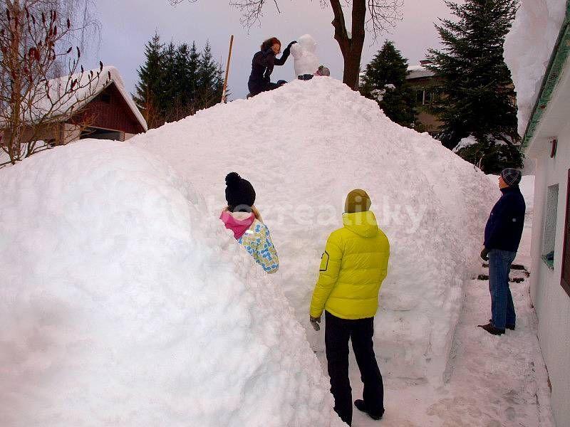 Pronájem chaty, chalupy, Rokytnice nad Jizerou, Liberecký kraj