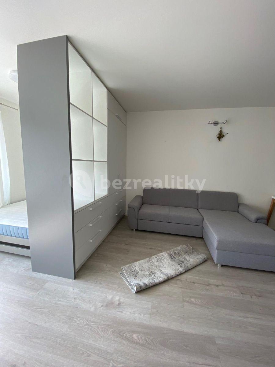 Pronájem bytu 1+kk 45 m², Praha, Praha