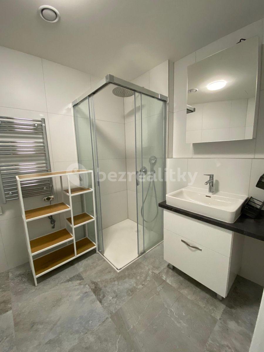 Pronájem bytu 1+kk 45 m², Praha, Praha