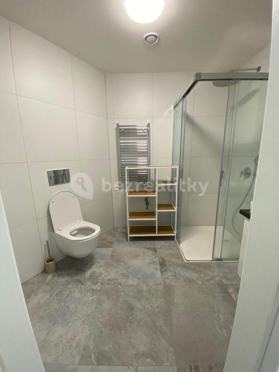 Pronájem bytu 1+kk 45 m², Praha, Praha