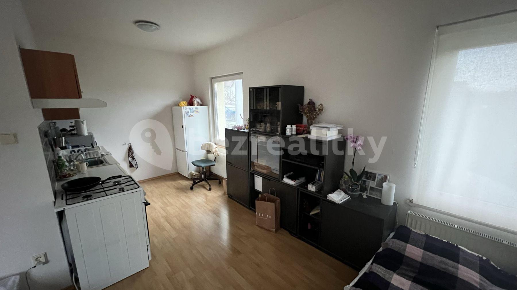 Pronájem bytu 1+kk 35 m², Pod Hloubětínskou zastávkou, Praha, Praha