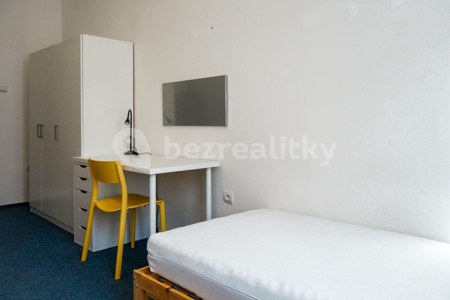 Pronájem bytu 1+1 25 m², Václavská, Brno, Jihomoravský kraj