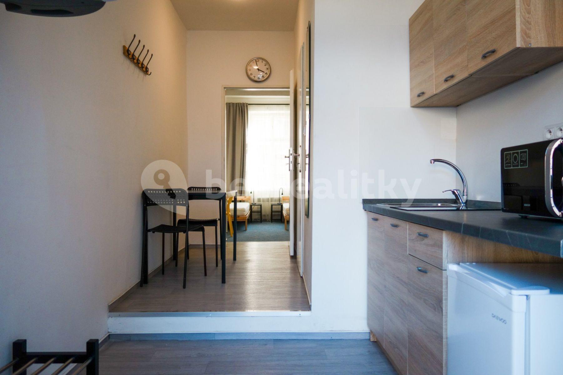 Pronájem bytu 1+1 25 m², Václavská, Brno, Jihomoravský kraj