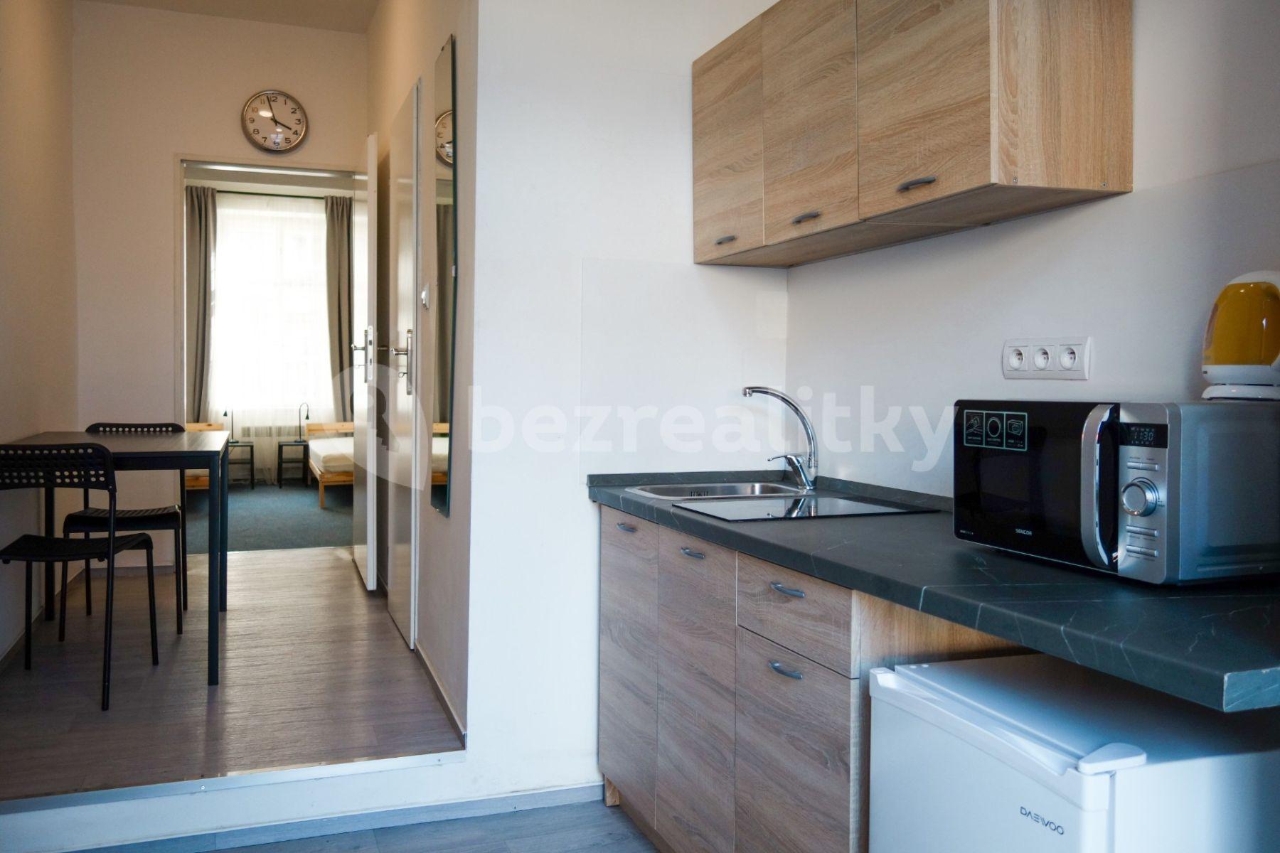 Pronájem bytu 1+1 25 m², Václavská, Brno, Jihomoravský kraj