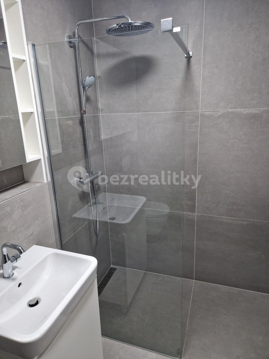 Pronájem bytu 1+kk 36 m², Praha, Praha