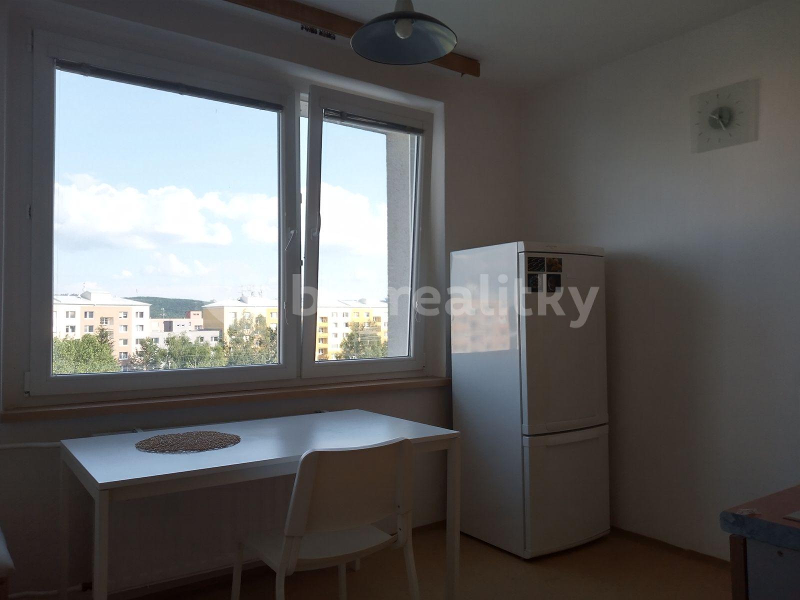 Pronájem bytu 1+1 45 m², Ečerova, Brno, Jihomoravský kraj