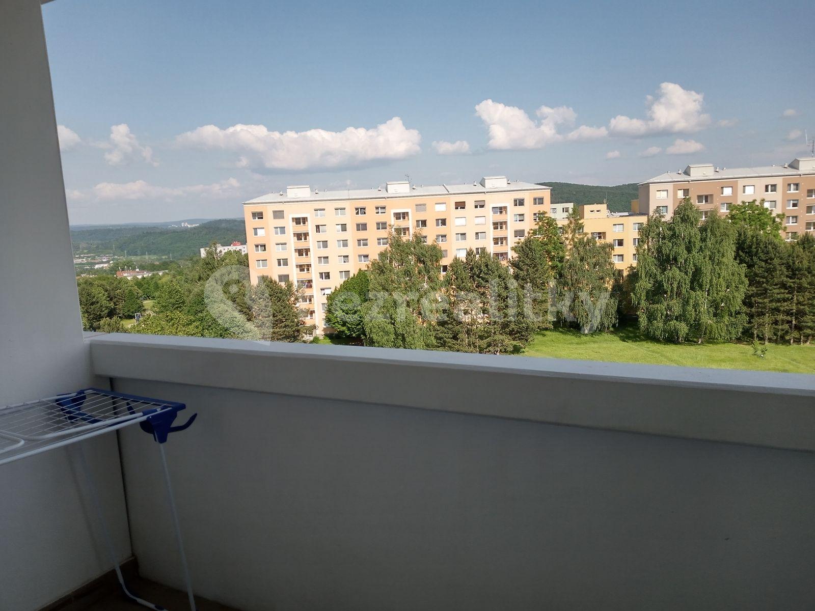 Pronájem bytu 1+1 45 m², Ečerova, Brno, Jihomoravský kraj