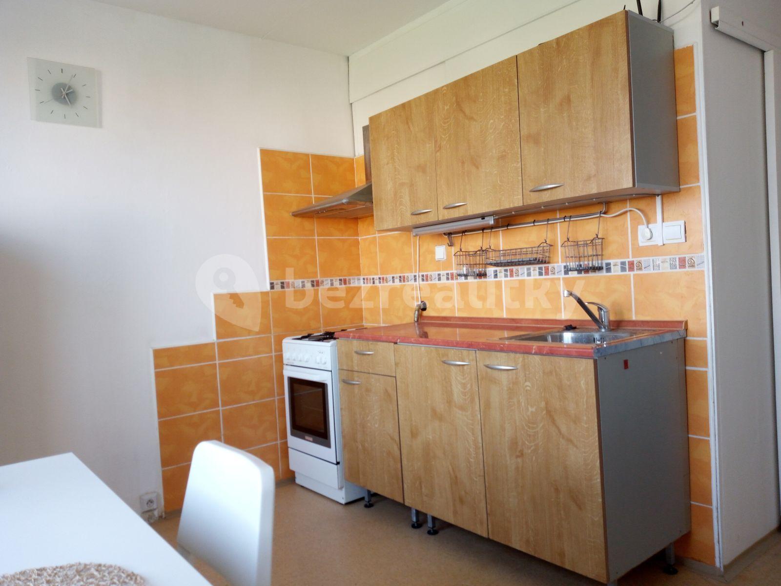 Pronájem bytu 1+1 45 m², Ečerova, Brno, Jihomoravský kraj