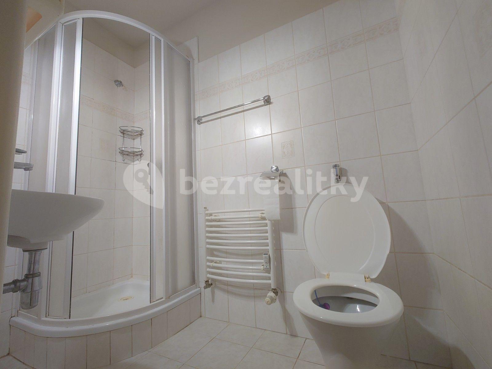 Pronájem bytu Garsoniéra 22 m², Kladenská, Praha, Praha