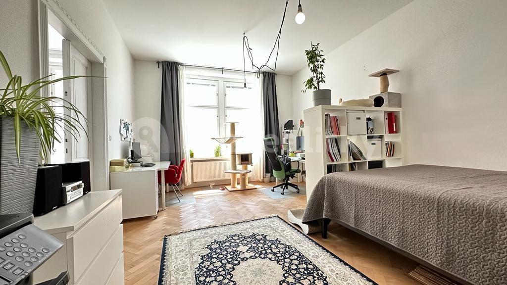 Pronájem bytu 3+kk 110 m², Na Plzeňce, Praha, Praha