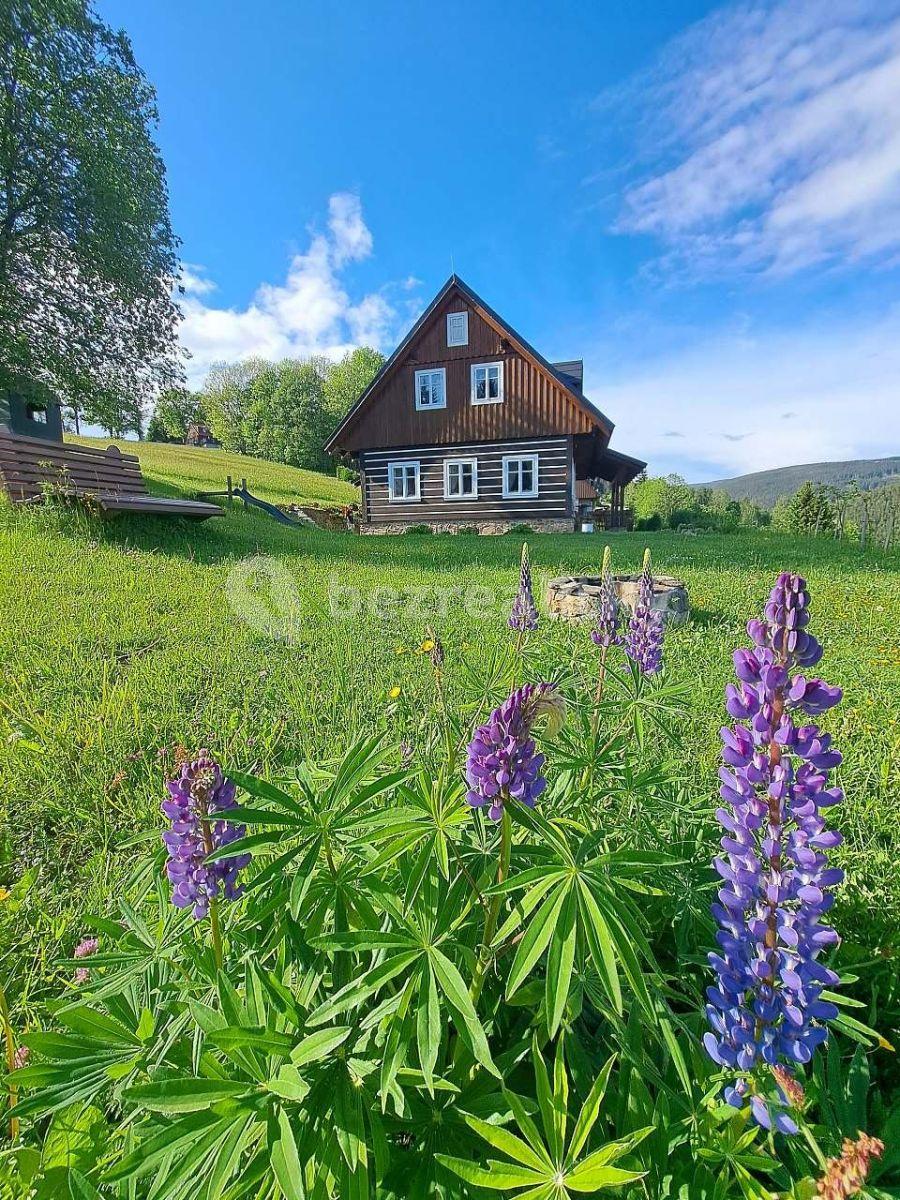 Pronájem chaty, chalupy, Strážné, Královéhradecký kraj