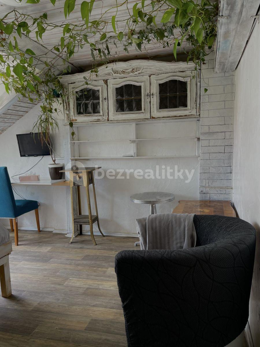 Pronájem bytu 1+kk 25 m², Lublaňská, Praha, Praha