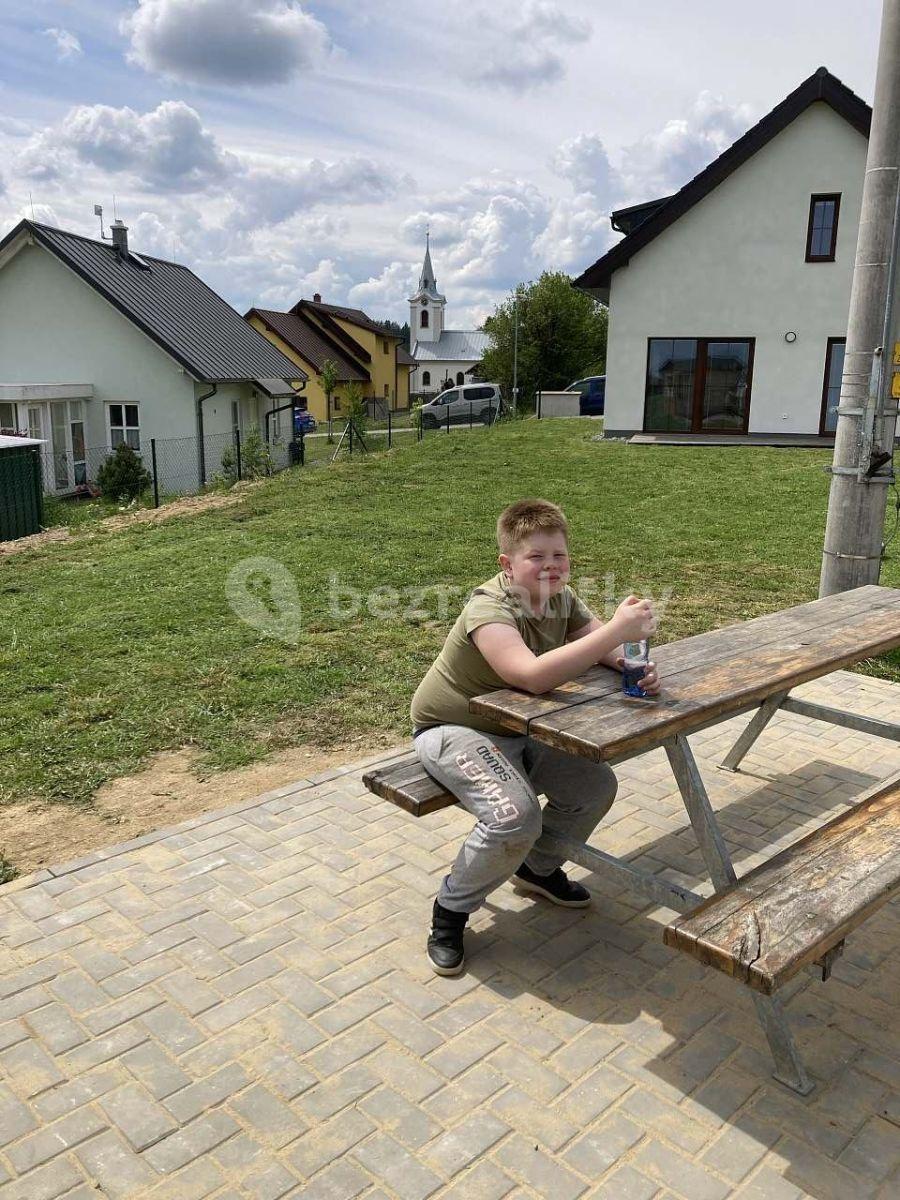 Pronájem chaty, chalupy, Sněžné, Kraj Vysočina