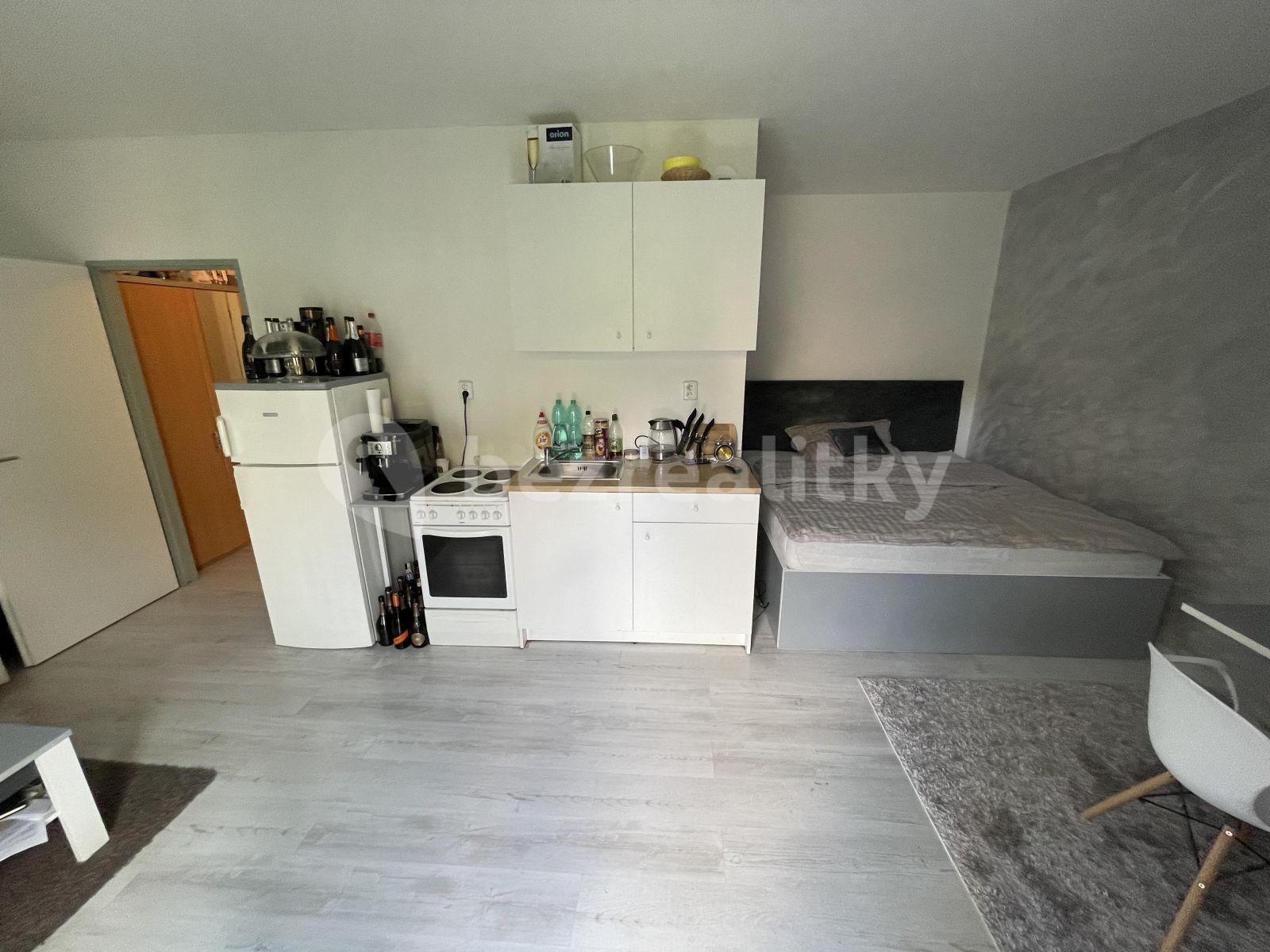 Pronájem bytu 1+kk 29 m², Na Rokytce, Praha, Praha