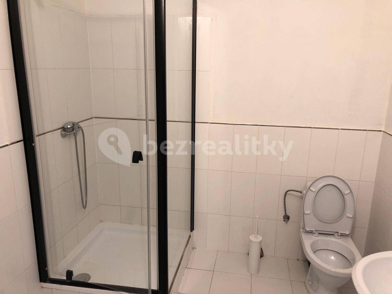 Pronájem bytu 1+kk 29 m², Na Rokytce, Praha, Praha