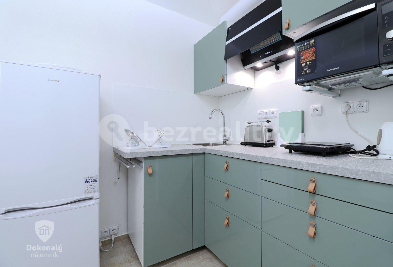 Pronájem bytu 1+kk 19 m², Koperníkova, Praha, Praha