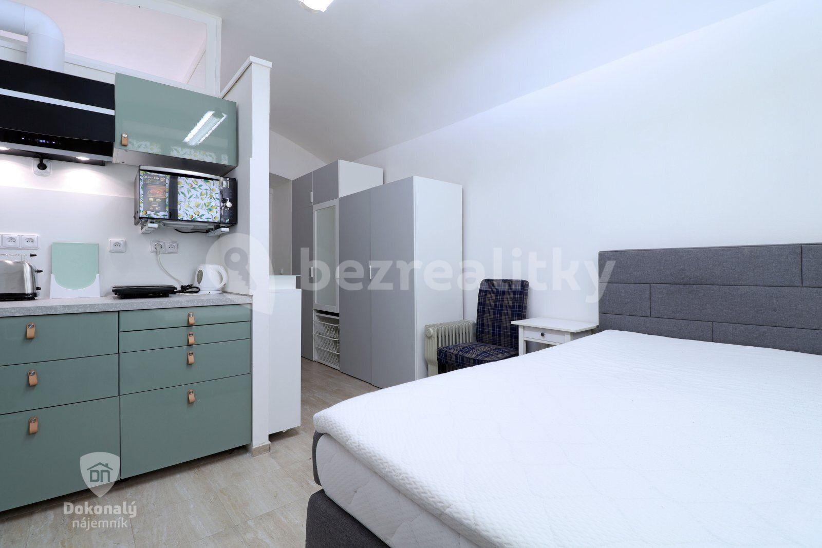 Pronájem bytu 1+kk 19 m², Koperníkova, Praha, Praha