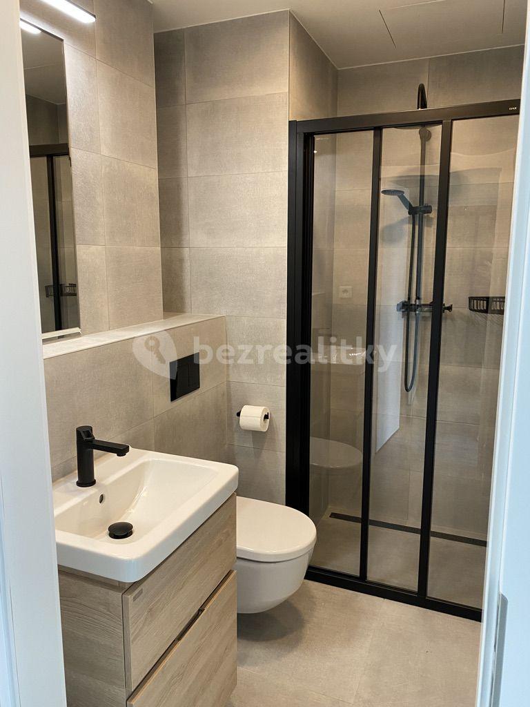 Pronájem bytu 1+kk 27 m², Perucká, Praha, Praha