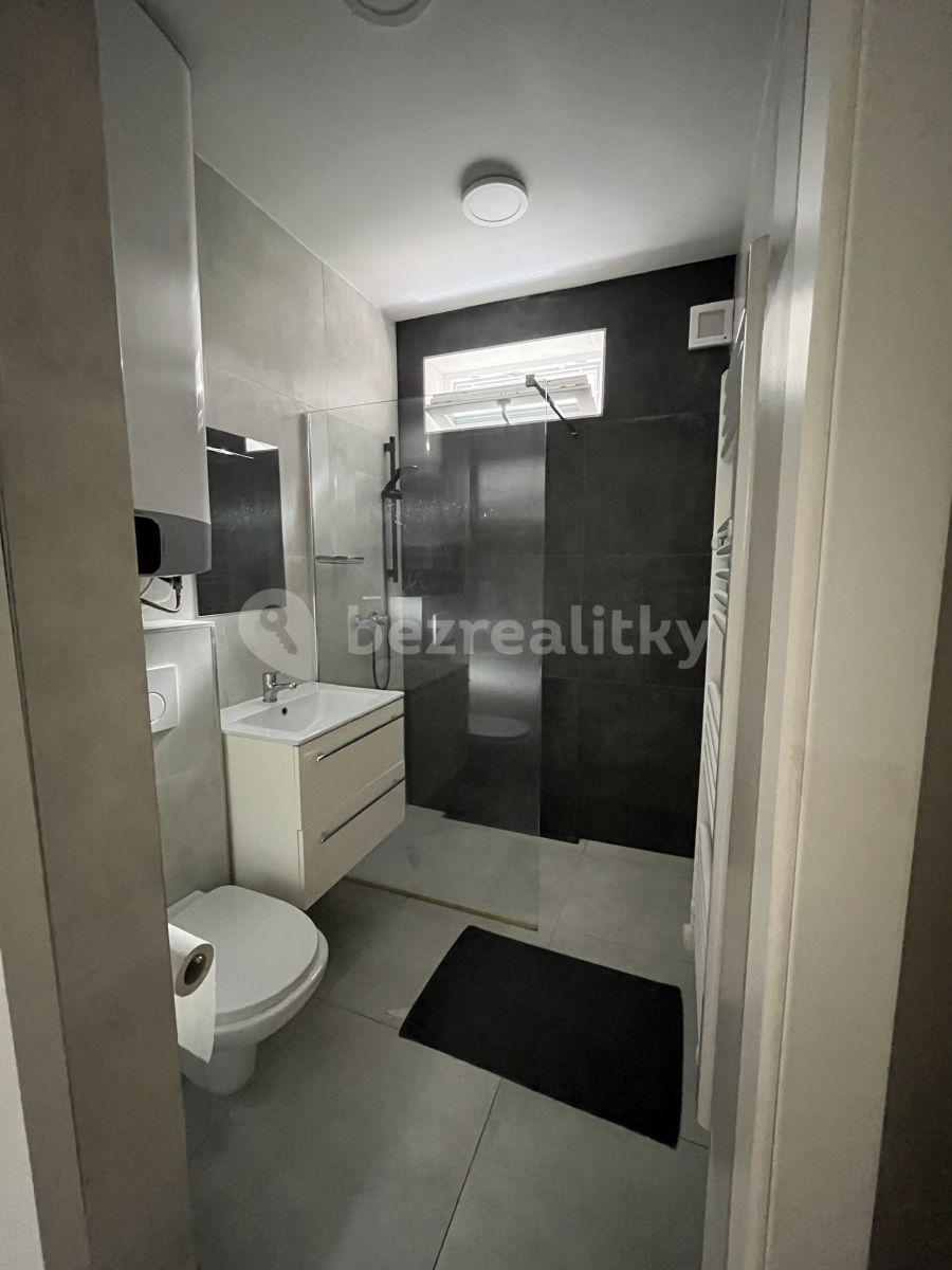 Pronájem bytu 1+kk 27 m², Potoční, Brno, Jihomoravský kraj