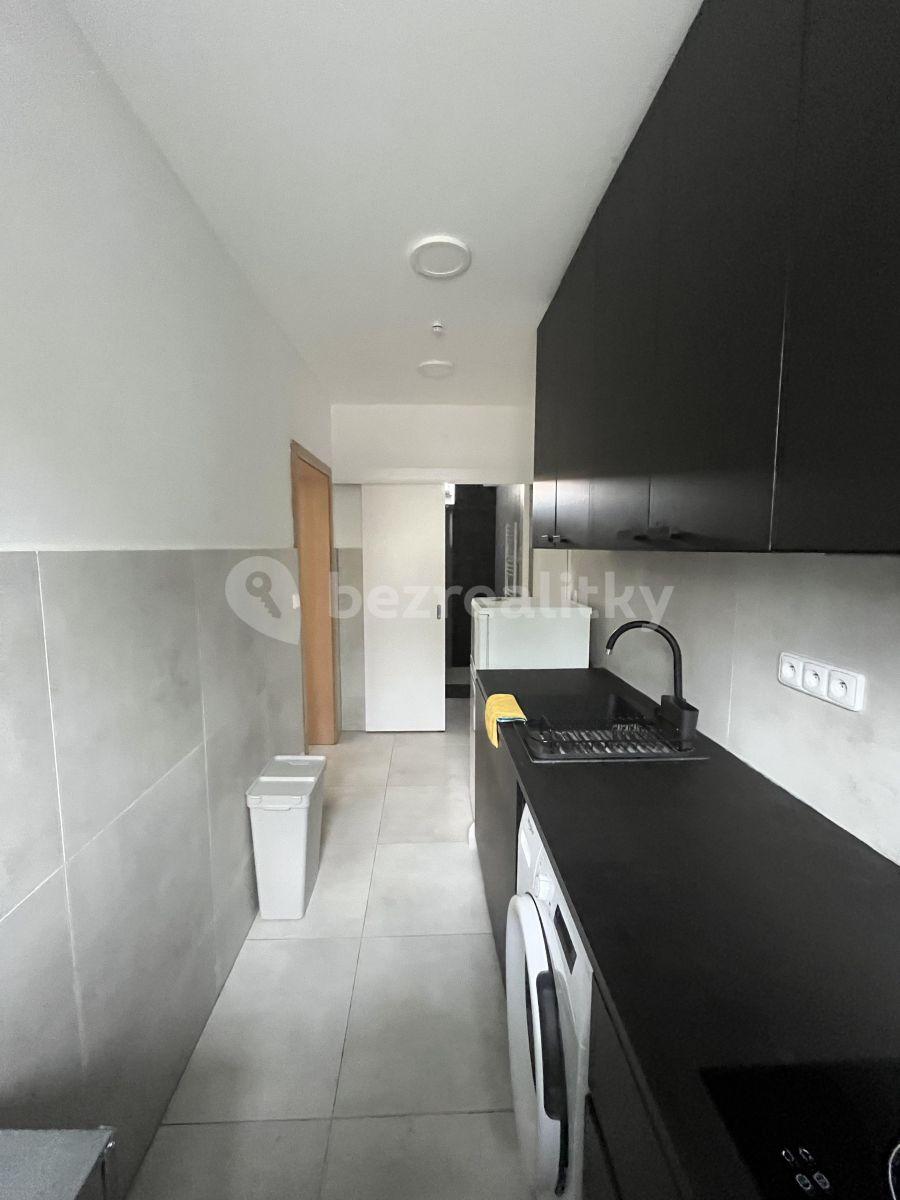 Pronájem bytu 1+kk 27 m², Potoční, Brno, Jihomoravský kraj