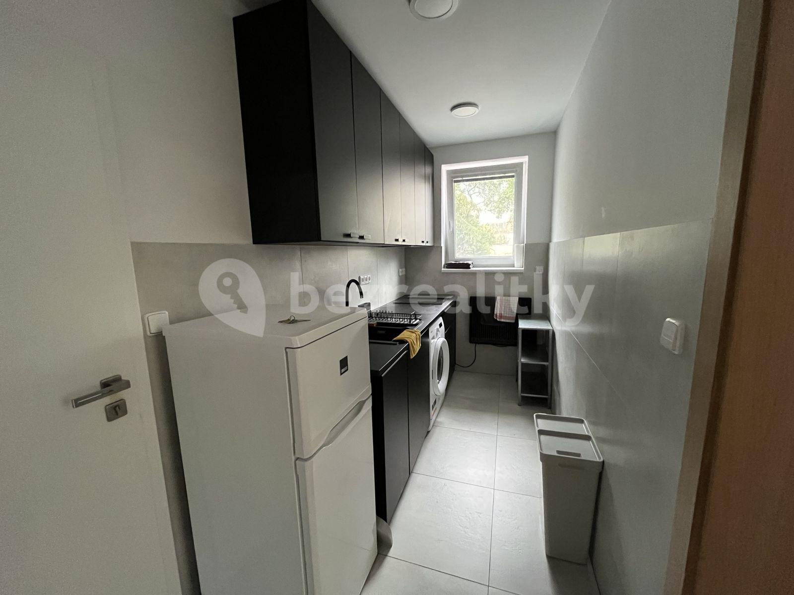 Pronájem bytu 1+kk 27 m², Potoční, Brno, Jihomoravský kraj