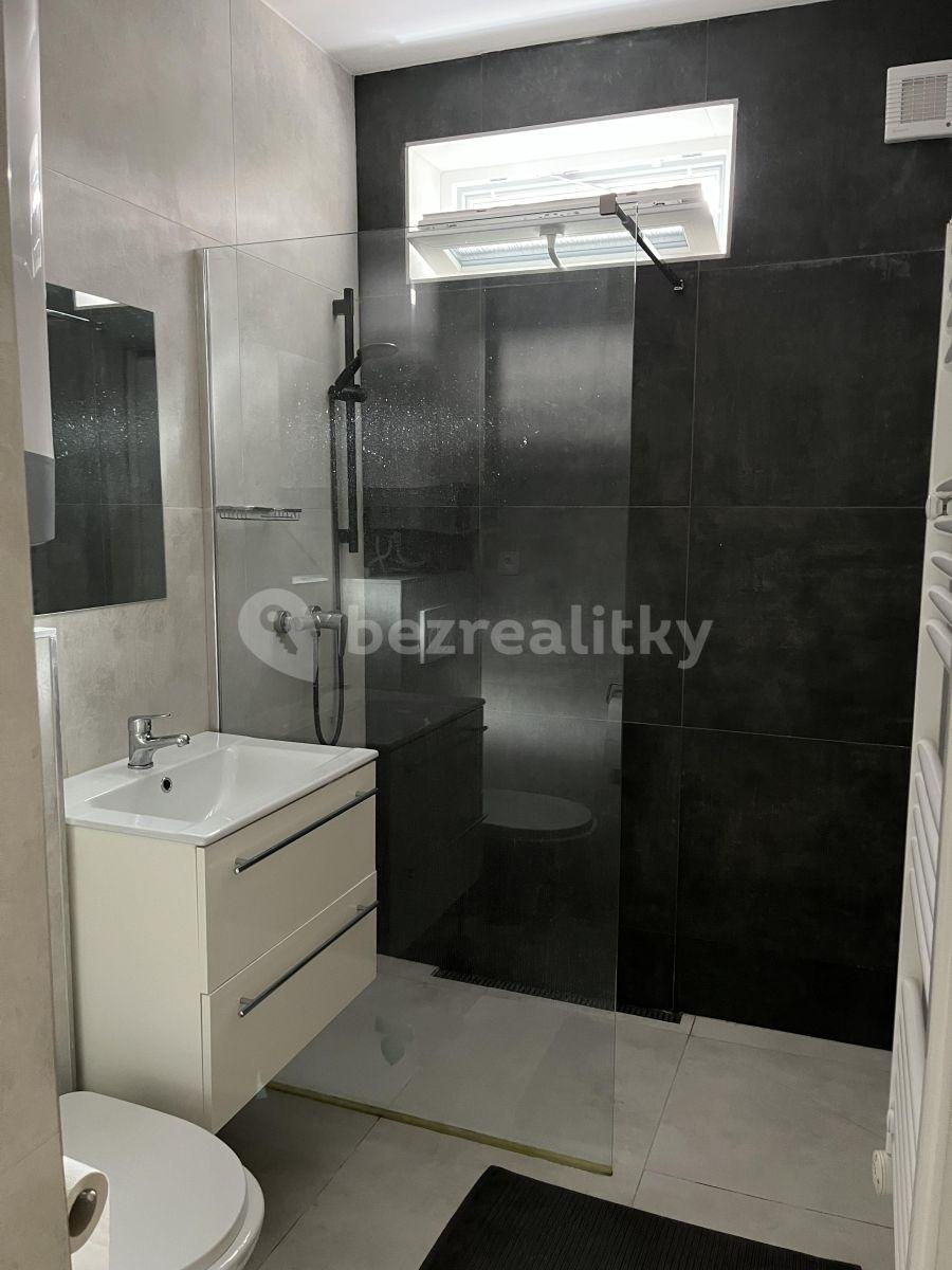 Pronájem bytu 1+kk 27 m², Potoční, Brno, Jihomoravský kraj