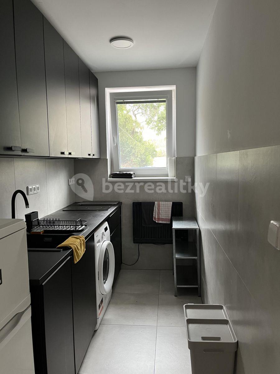 Pronájem bytu 1+kk 27 m², Potoční, Brno, Jihomoravský kraj