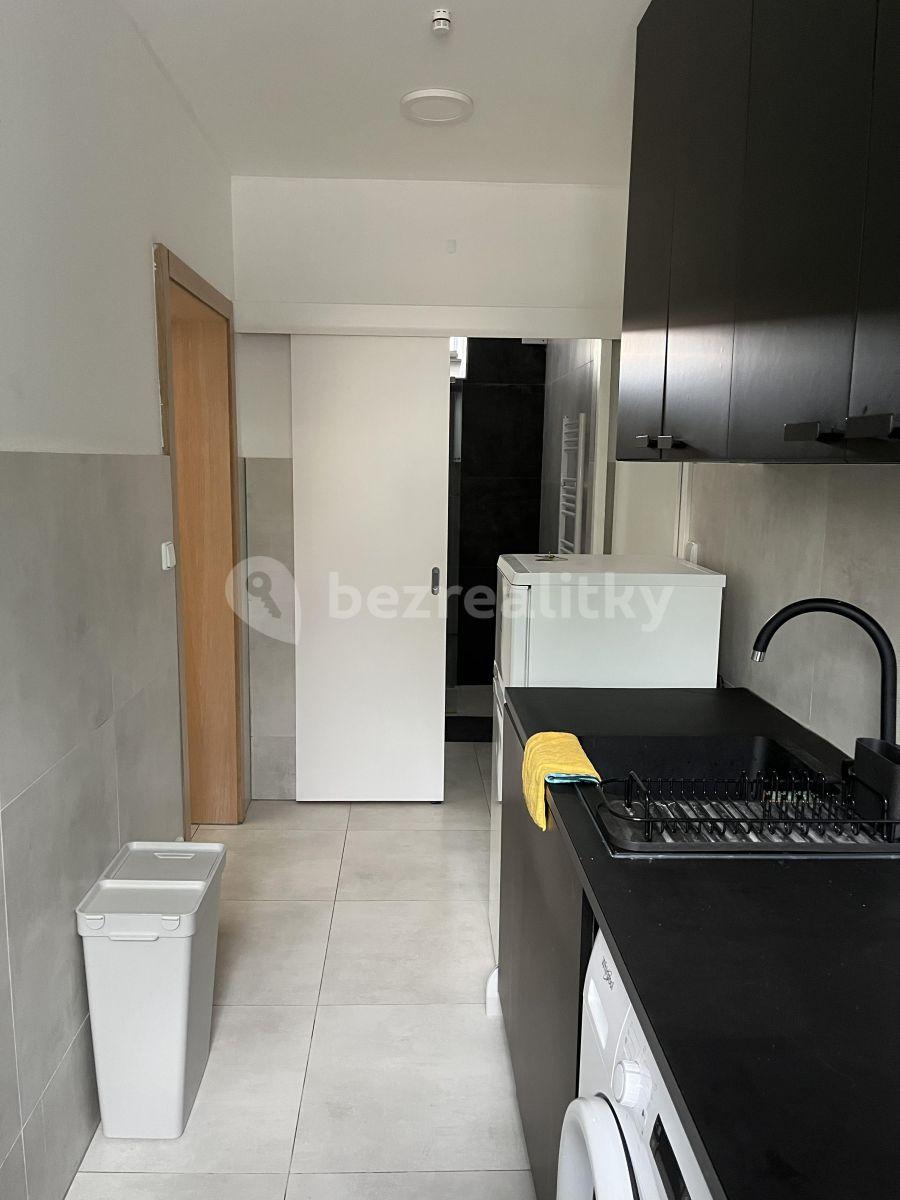 Pronájem bytu 1+kk 27 m², Potoční, Brno, Jihomoravský kraj