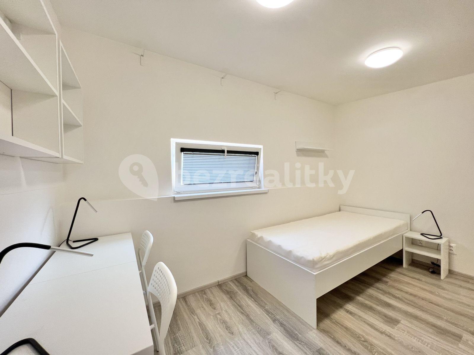 Pronájem bytu 2+1 30 m², Hybešova, Brno, Jihomoravský kraj