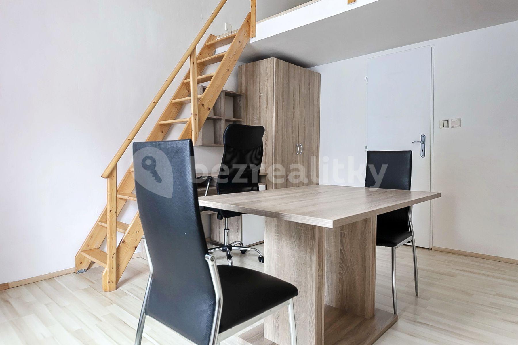 Pronájem bytu 1+kk 19 m², Václavská, Brno, Jihomoravský kraj