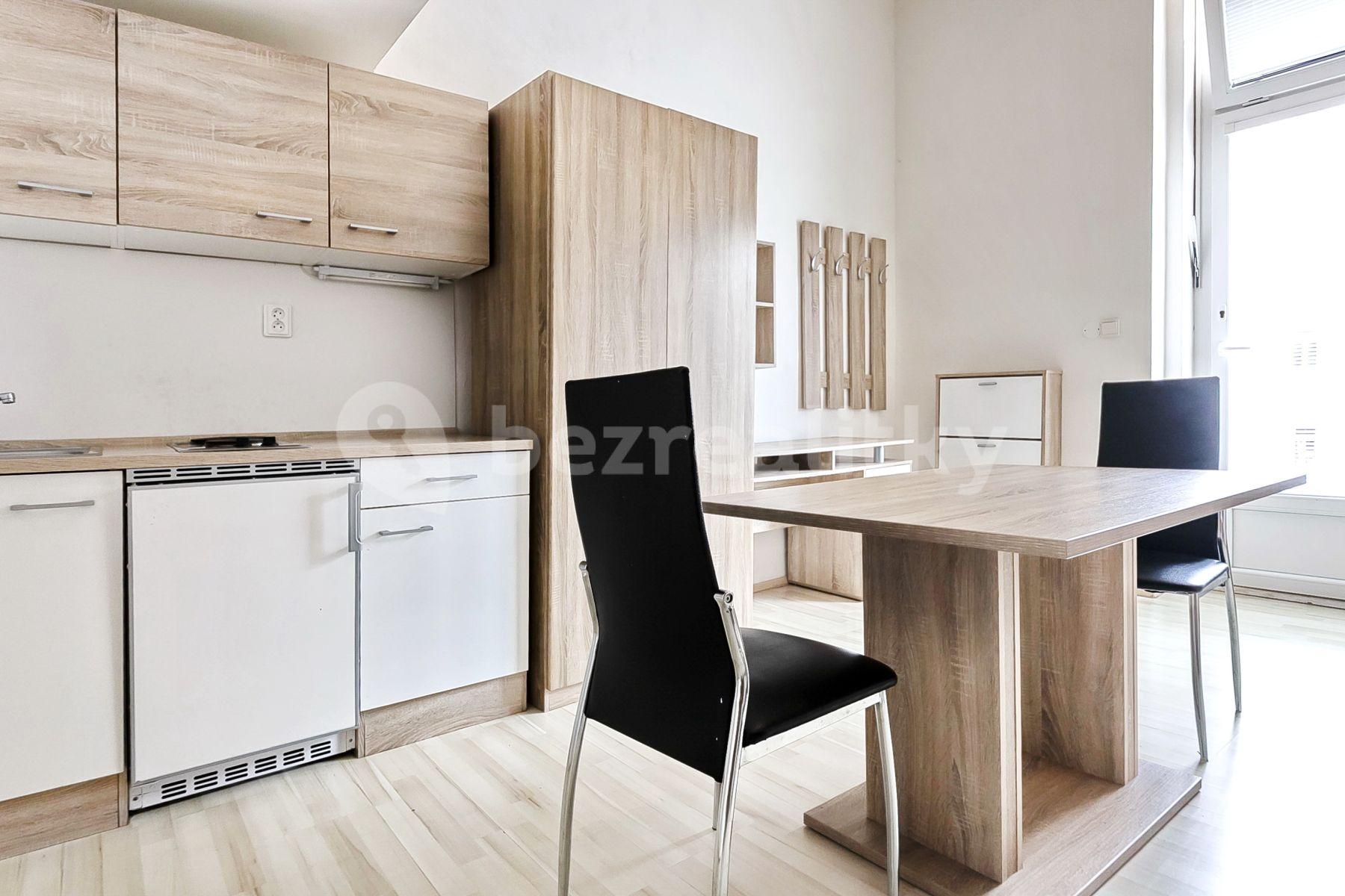 Pronájem bytu 1+kk 19 m², Václavská, Brno, Jihomoravský kraj