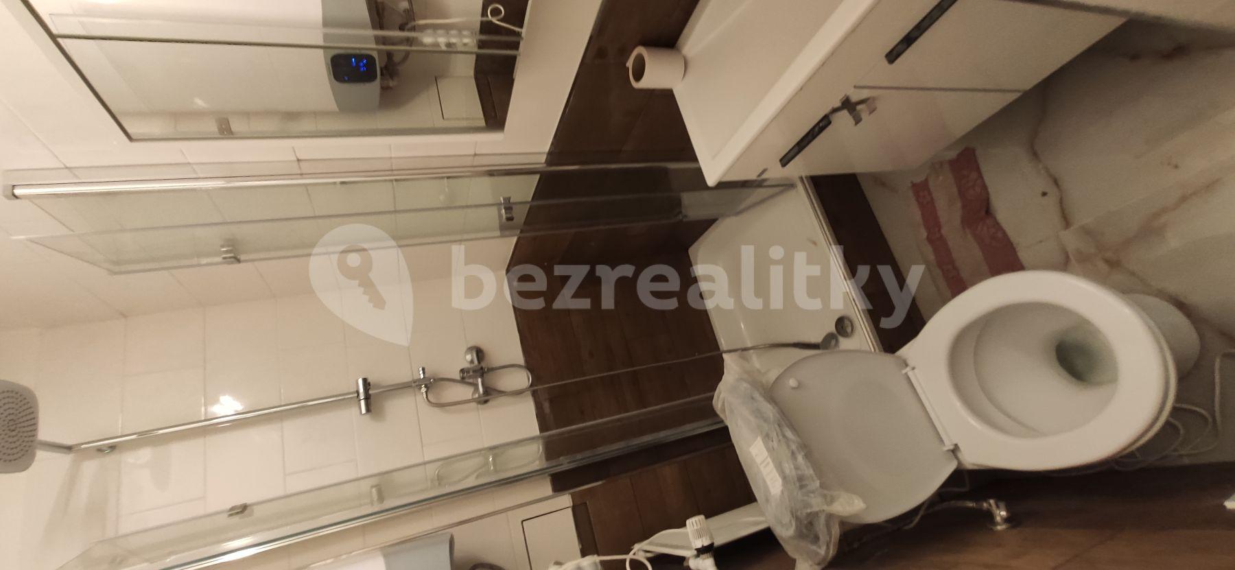 Pronájem bytu 1+kk 35 m², Sluhy, Středočeský kraj