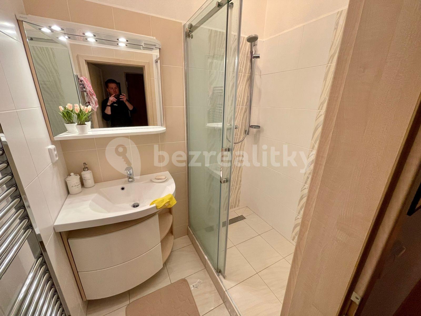 Pronájem bytu 2+kk 54 m², B. Smetany, České Budějovice, Jihočeský kraj