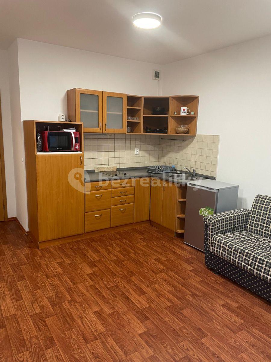 Pronájem bytu 1+kk 31 m², Kovanecká, Praha, Praha