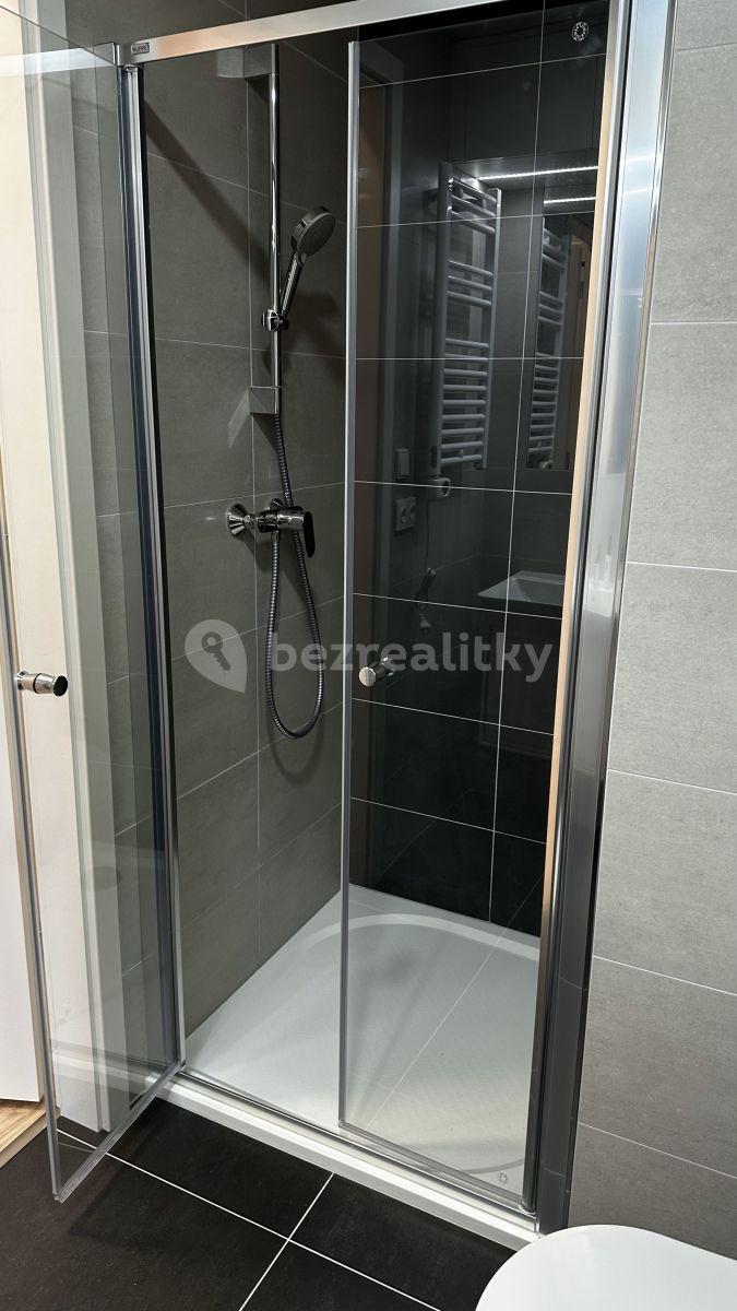 Pronájem bytu 1+kk 20 m², Mozartova, Praha, Praha