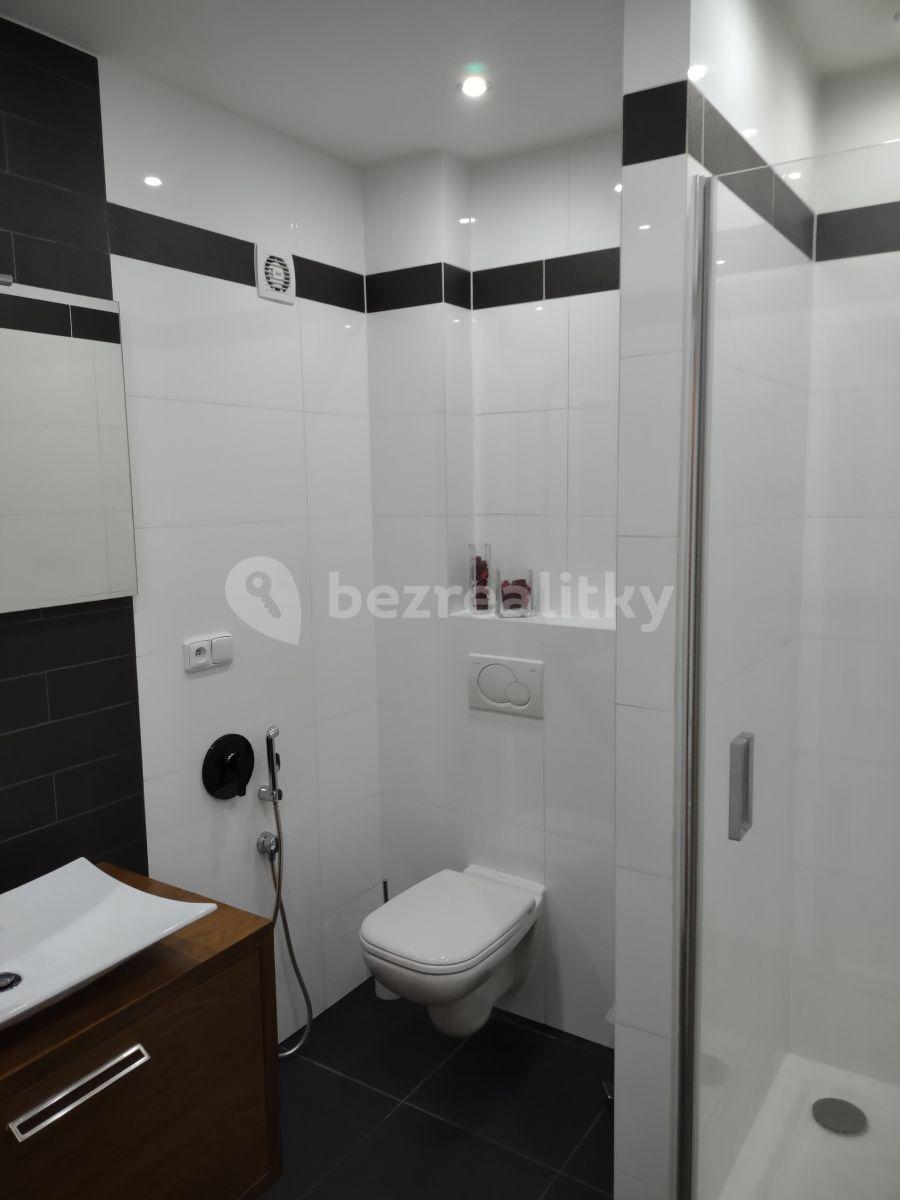 Pronájem bytu 2+kk 63 m², K. Čapka, Karlovy Vary, Karlovarský kraj