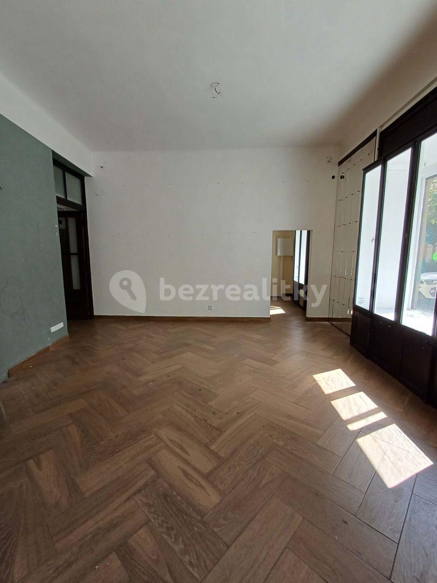 Pronájem nebytového prostoru 60 m², Přemyslovská, Praha, Praha