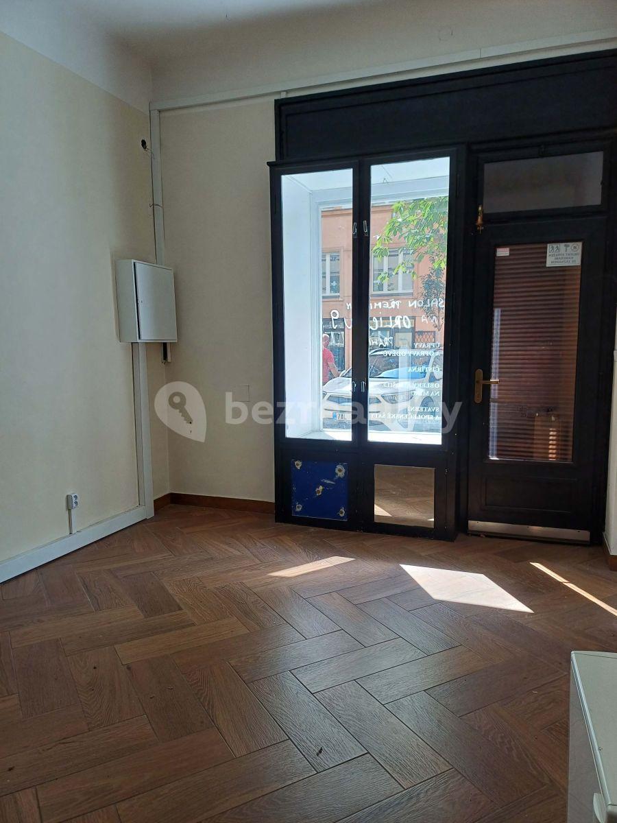 Pronájem nebytového prostoru 60 m², Přemyslovská, Praha, Praha