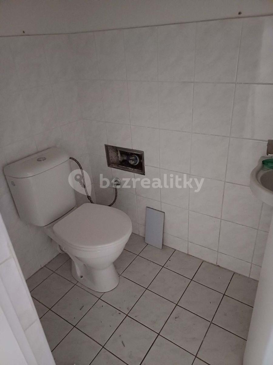 Pronájem nebytového prostoru 60 m², Přemyslovská, Praha, Praha