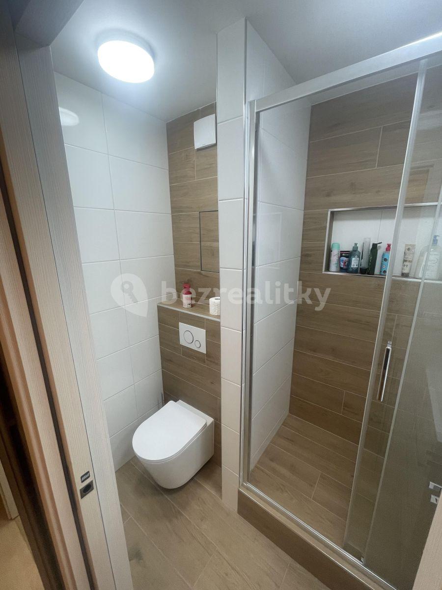 Pronájem bytu 2+kk 33 m², Černého, Praha, Praha