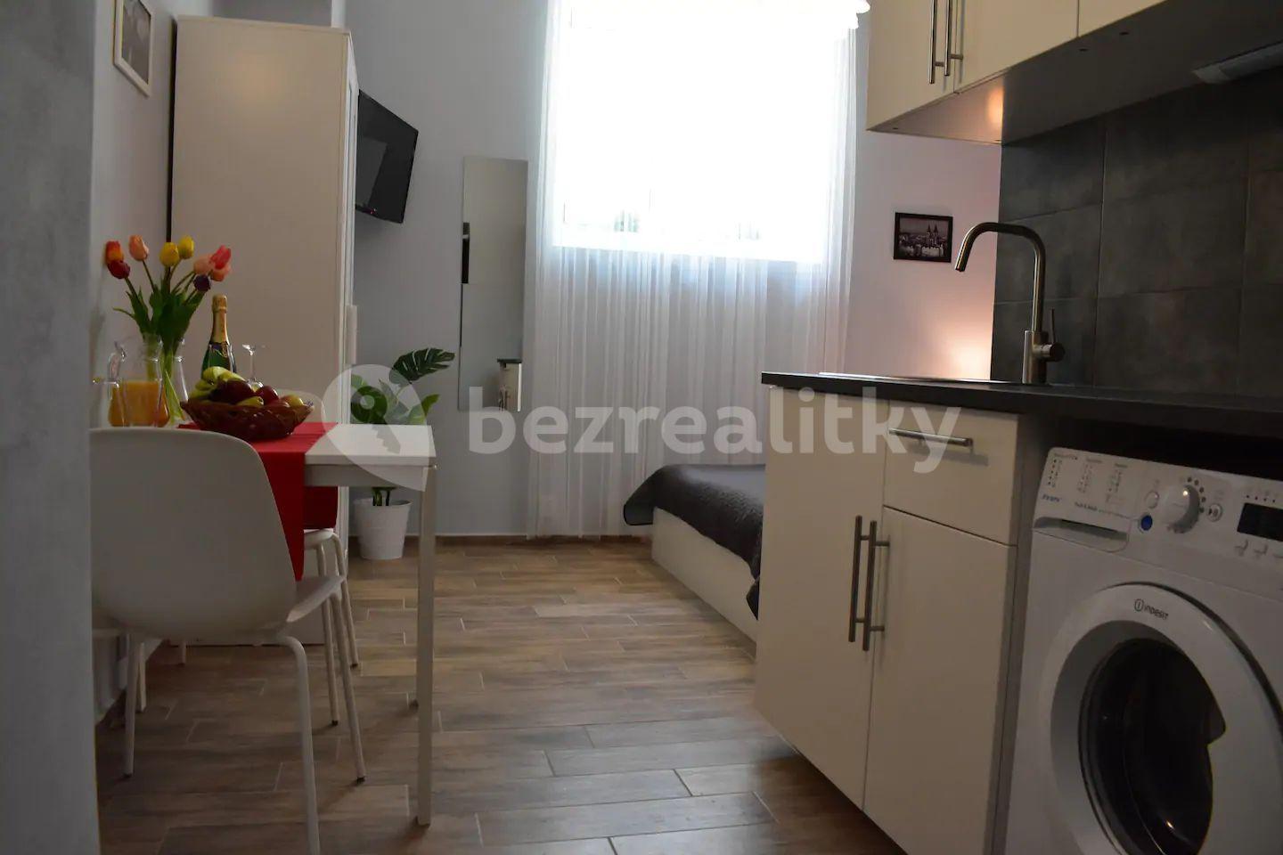 Pronájem bytu 1+kk 19 m², Novákových, Praha, Praha