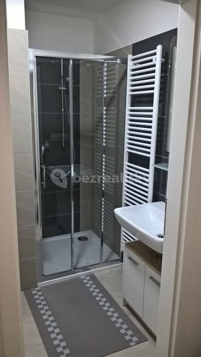 Pronájem bytu 1+kk 34 m², Přadlácká, Brno, Jihomoravský kraj