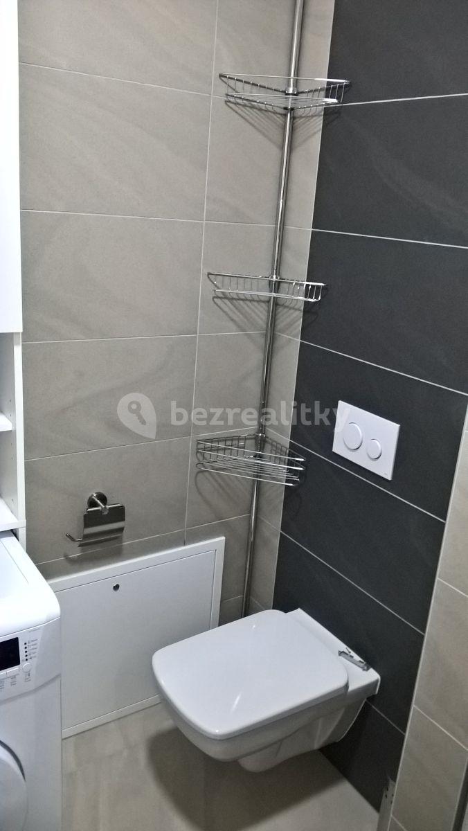 Pronájem bytu 1+kk 34 m², Přadlácká, Brno, Jihomoravský kraj