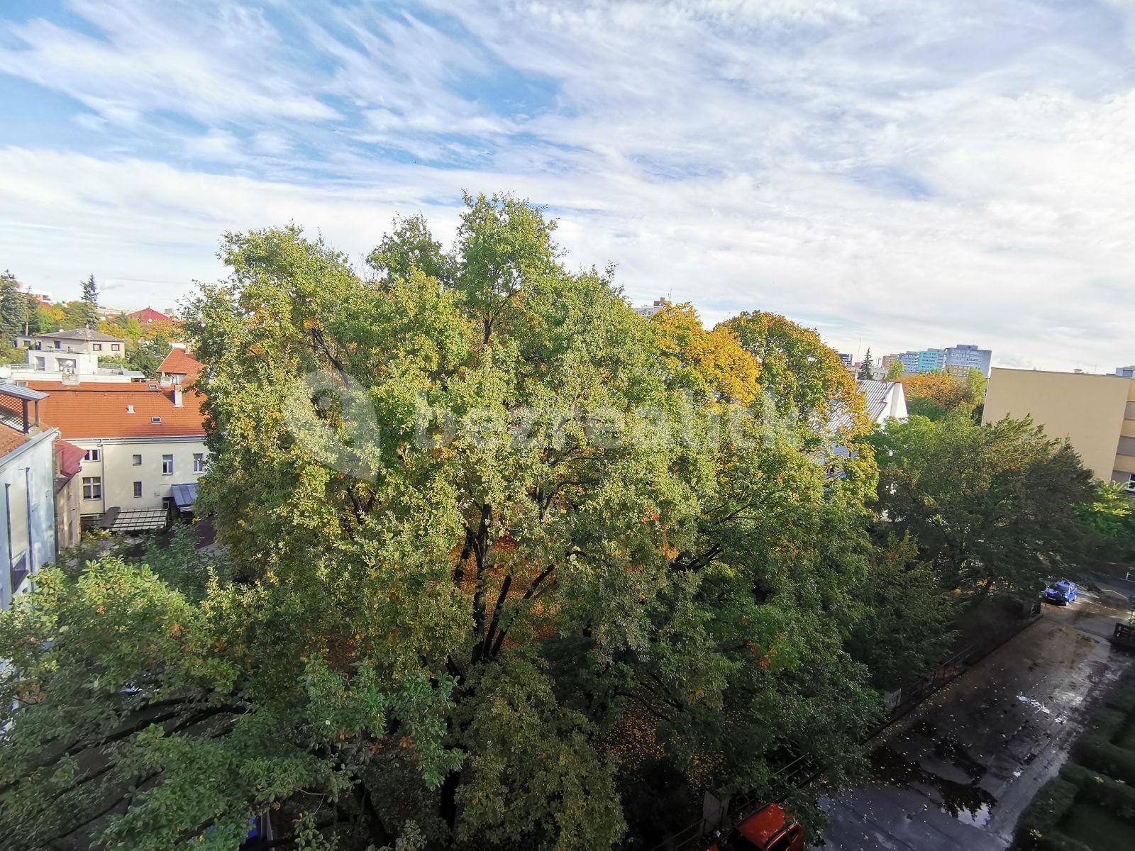 Pronájem bytu 2+kk 42 m², Krupská, Praha, Praha