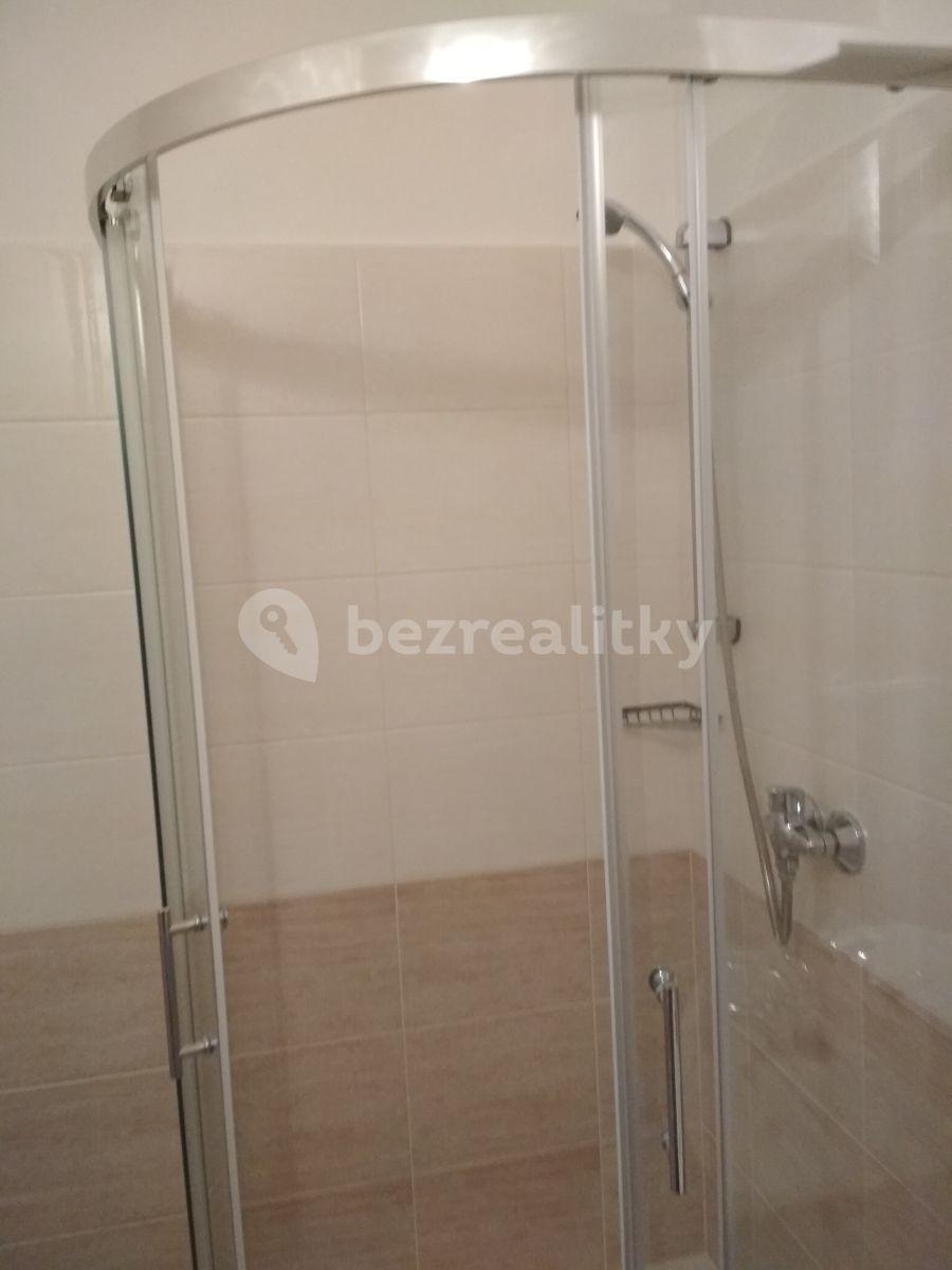 Pronájem bytu 2+1 54 m², Krupská, Praha, Praha