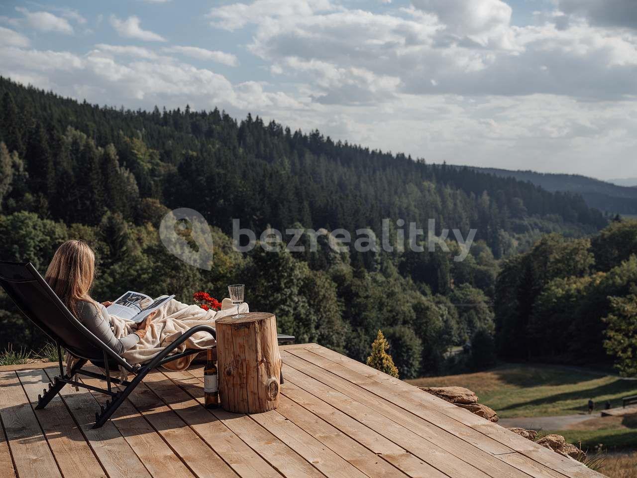 Pronájem chaty, chalupy, Rokytnice nad Jizerou, Liberecký kraj