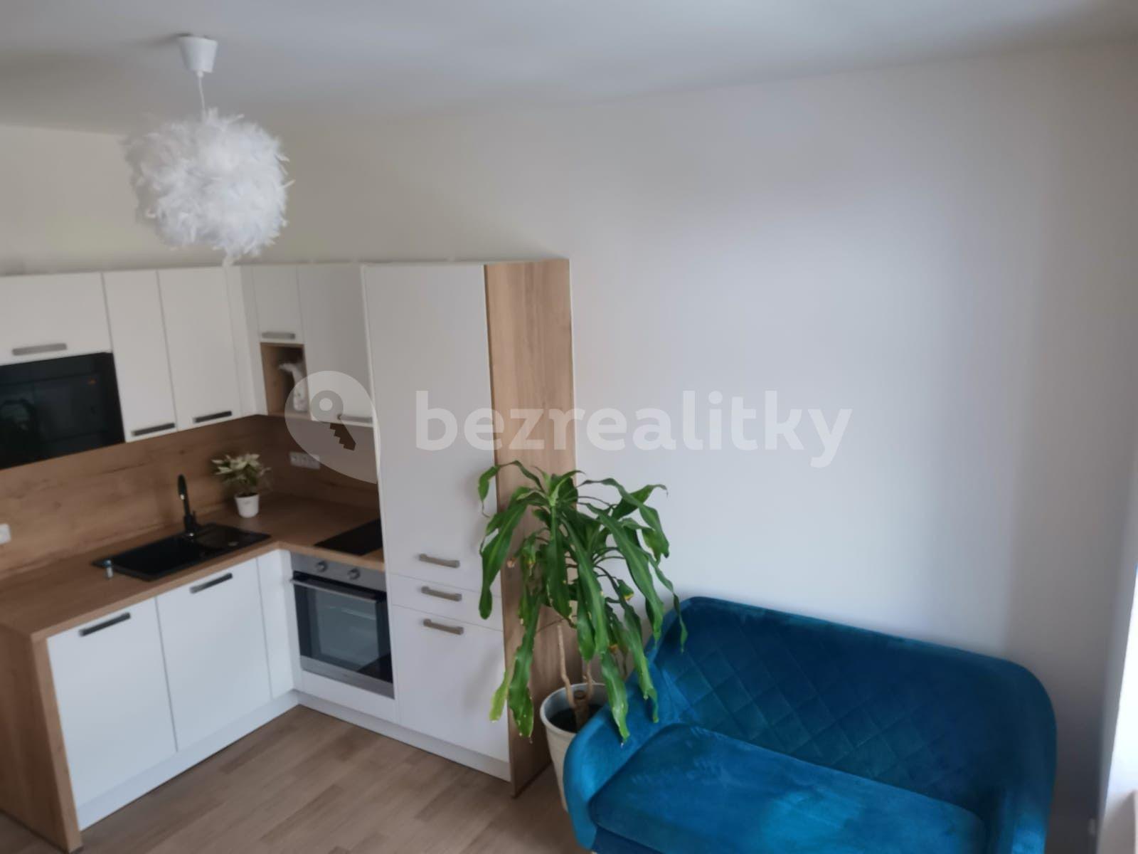 Pronájem bytu 2+kk 40 m², Svatoplukova, Brno, Jihomoravský kraj